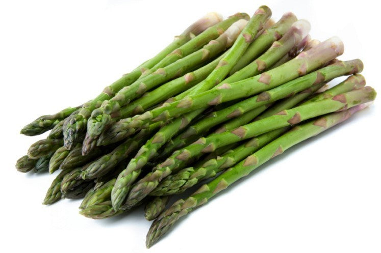 Asperge 'U.C.157' F2 / 'U.C.157'