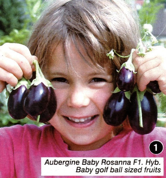 Aubergine 'Baby Belle' / 'Kono'