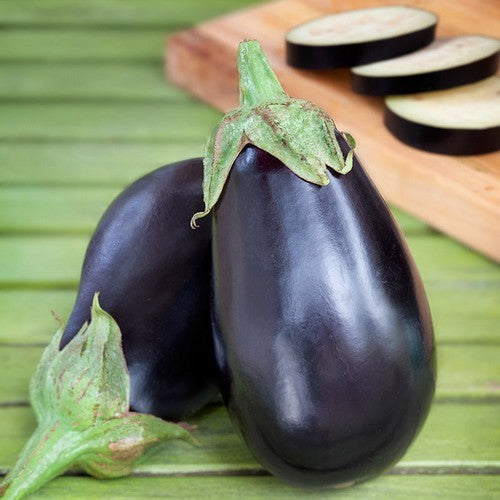 Aubergine 'Black Beauty'