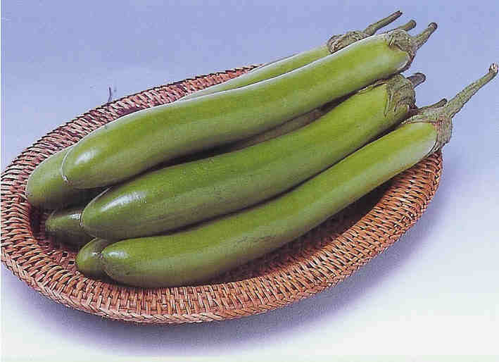 Indian Eggplant 'Green Knight' F1