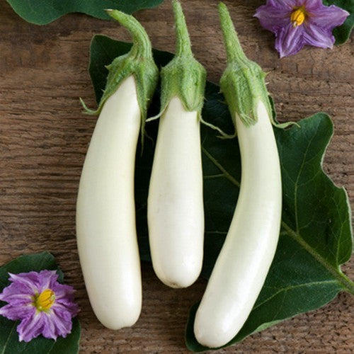Aubergine 'Gretel' F1 / 'White Knight' F1