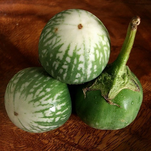 Kikkeraubergine 'Kermit' F1