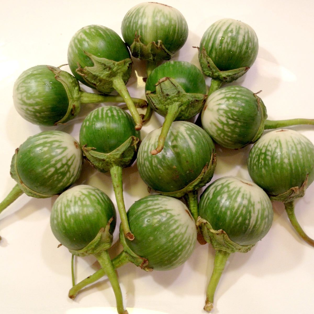 Kikkeraubergine 'Kermit' F1