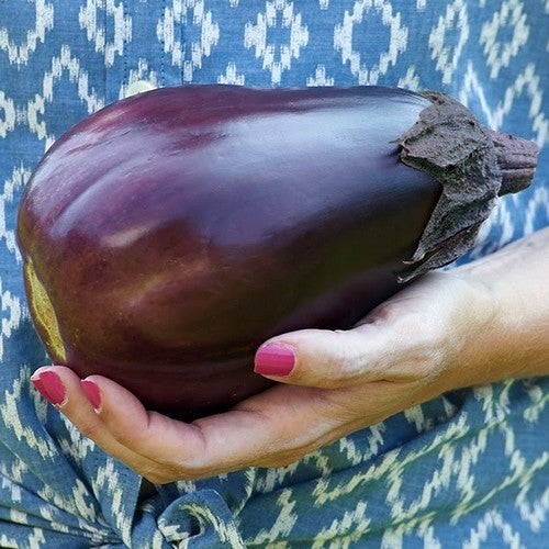 Eggplant 'Meatball' F1