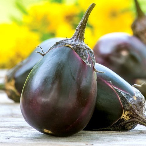 Eggplant 'Meatball' F1
