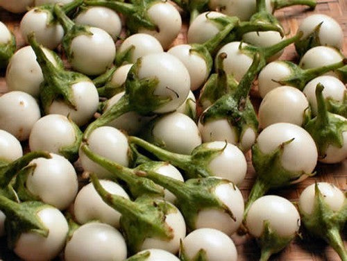 Eggplant 'Mini White' F1