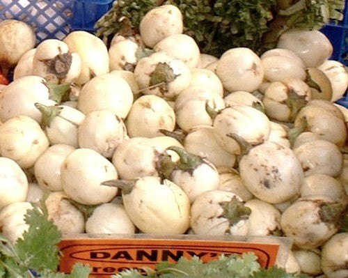 Eggplant 'Mini White' F1