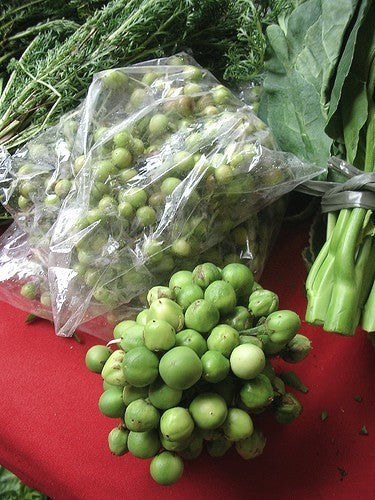 Aubergine 'Thai Green Pea'