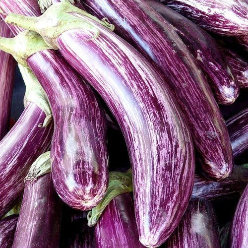 Aubergine 'Tsakoniki'