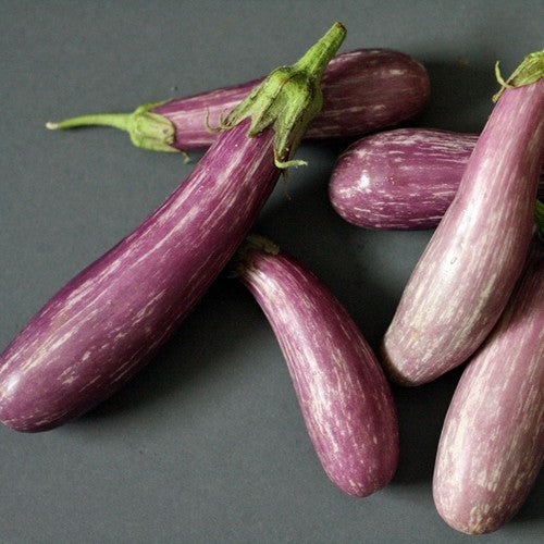 Aubergine 'Tsakoniki'