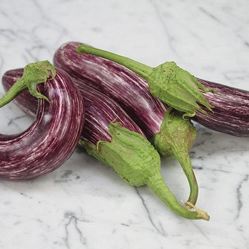 Aubergine 'Tsakoniki'