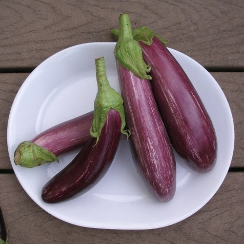 Aubergine 'Tsakoniki'