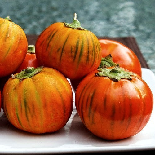 Aubergine 'Turkish Orange'
