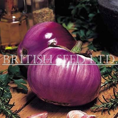 Aubergine 'Rotonda Bianca Sfumata di Rosa' / 'Violet Pearl'