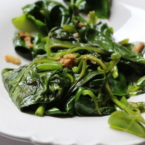 Basella 'Green'