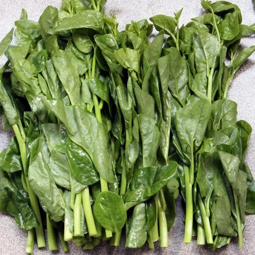 Basella 'Green'