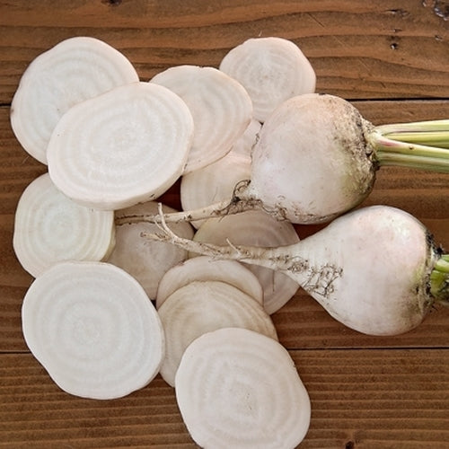 Witte Kroten 'Avalanche'