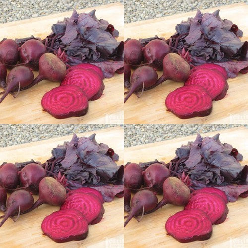 Red-leaved Beet 'Bull's Blood'