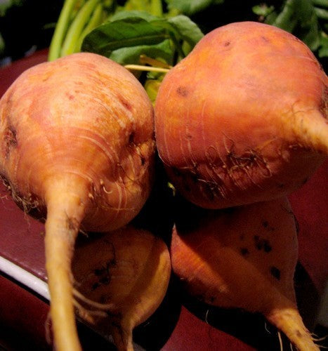 Golden Beets 'Burpee's Golden'