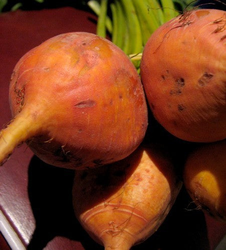 Golden Beets 'Burpee's Golden'