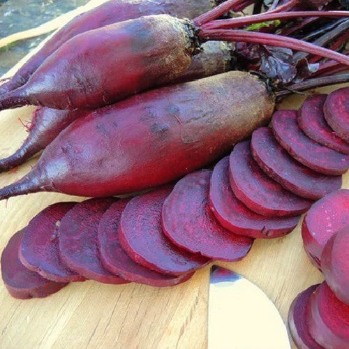 Long Red Beets 'Macgregor's Favourite'