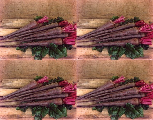 Giant Beets 'Mammoth Long'