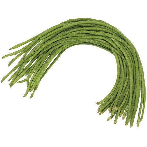 Kousenband (Stok) 'Envi'
