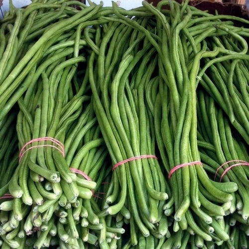 Zwartoogboontjes 'Italia Dell' Occhio' / 'Black Eyed Pea''