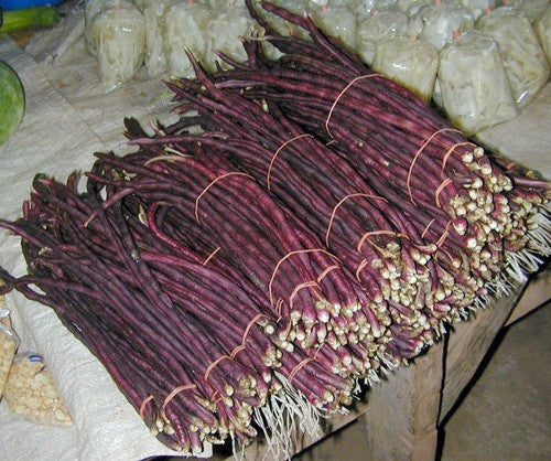Kousenband 'Purple Mart No.2' / 'AB-110'