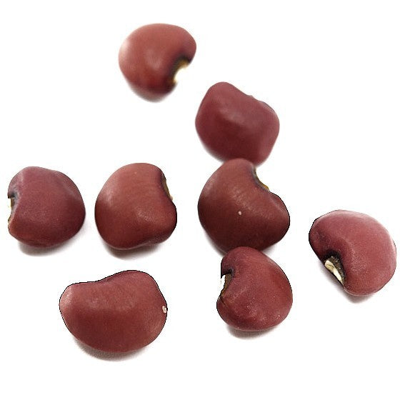 Koetjes-Erwten 'Red Ripper'