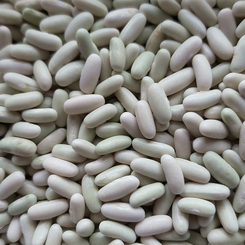 Naaldbonen (Stam) 'Compass'