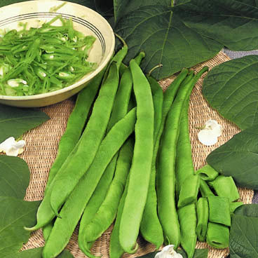 PRONKBONEN (STOK) 'Emergo Stringless Mergoles'
