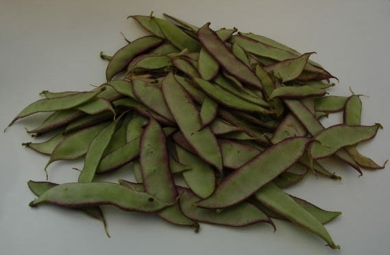 Lablabbonen 'Purple' 5g (12-16 Zaden)