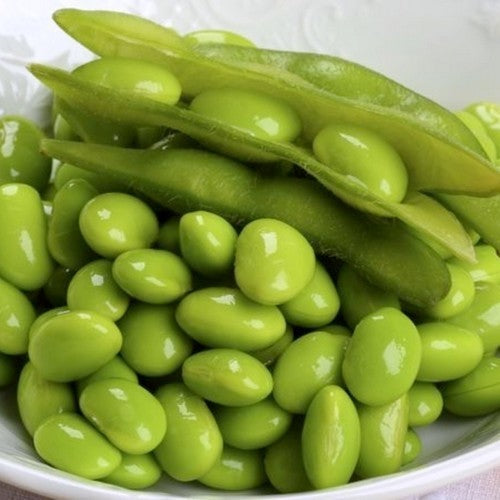 Sojaboon 'Giallo Sano' ±30-50 Zaden (10g)
