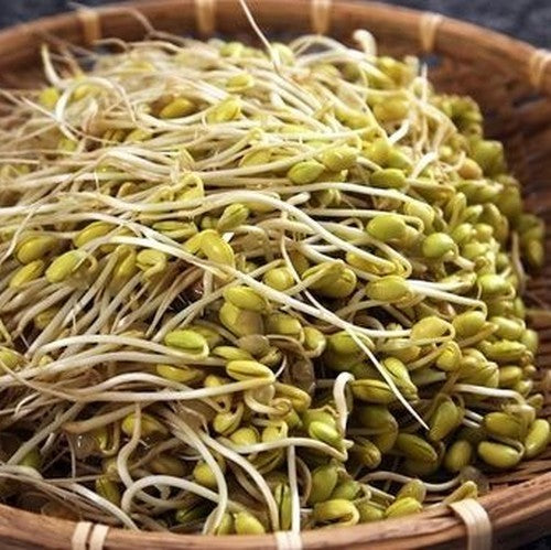 Sojaboon 'Giallo Sano' ±30-50 Zaden (10g)