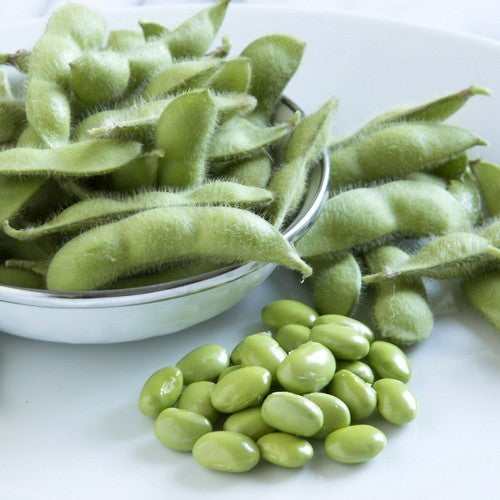 Sojaboon 'Green Shell' ±30-50 Zaden (10g)