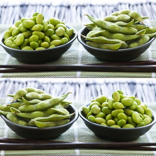 Soybean Karikachi ±30-50 Seeds (10g)