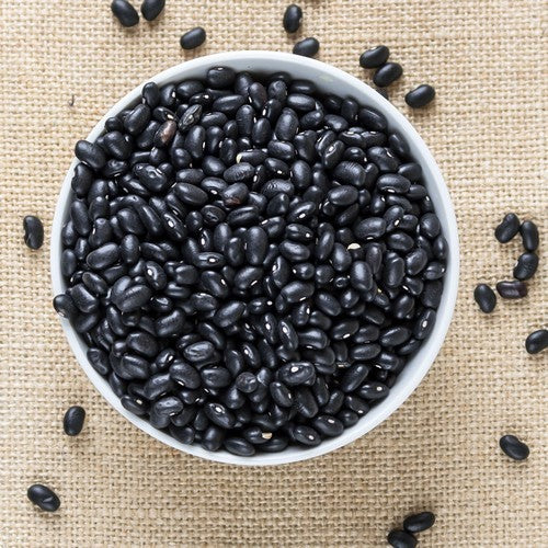 Droogbonen, Stam 'Alubias NeGras de Tolosa'