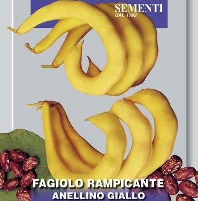 Droogbonen, Stok 'Anellino Giallo'