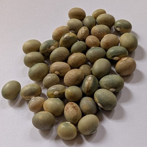 Dry Beans, Pole 'Bomba'