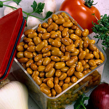 Droogbonen, Stam 'Bruine Noordhollandse' 100g
