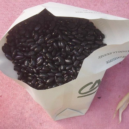 Droogbonen, Stok 'Cherokee Trail of Tears' 40g