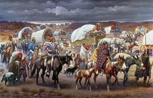 Droogbonen, Stok 'Cherokee Trail of Tears' 40g