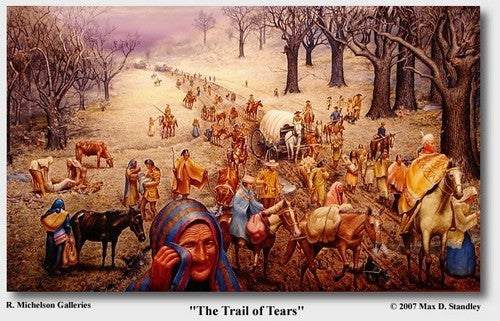 Droogbonen, Stok 'Cherokee Trail of Tears' 40g