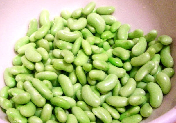 Droogbonen, Stam 'Flageolet' / 'Groene Flageolet'