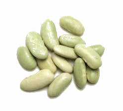Droogbonen, Stam 'Flageolet' / 'Groene Flageolet'