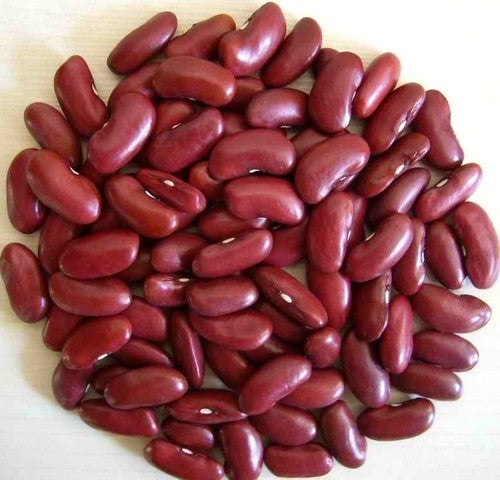 Dried Beans, Bush 'Red Kidney' / 'Canadian Wonder' 100g