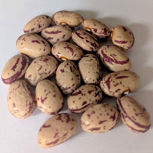 Droogbonen, Stok 'Spatzeneier' / 'Musseneitjes'
