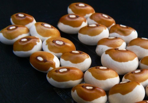 Droogbonen, Stok 'Wieringer' / 'Wirringer' 100g