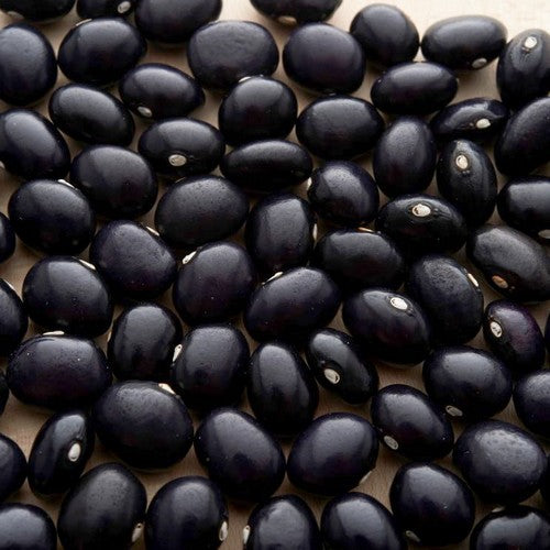 Climbing bean 'Schöne Von Richigen'